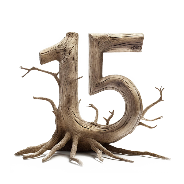 koehnemann-design-werbeagentur-muenster-galabau-expertise-15-jahre