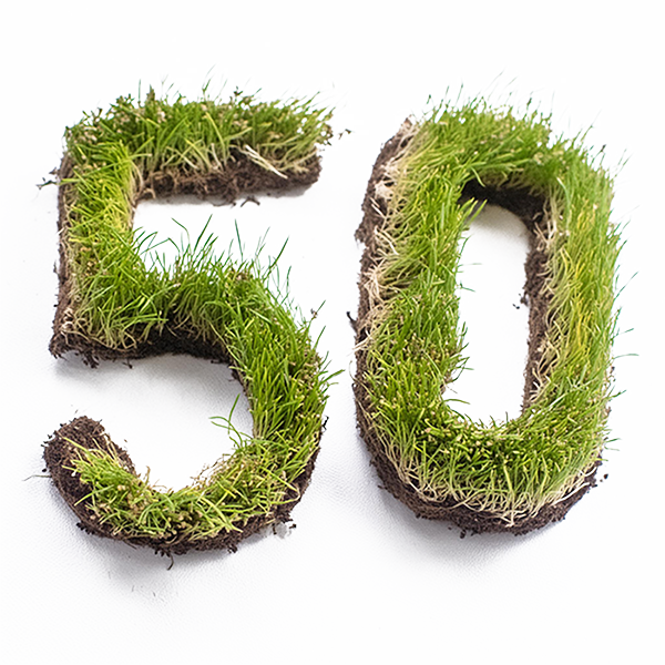 koehnemann-design-werbeagentur-muenster-galabau-expertise-50