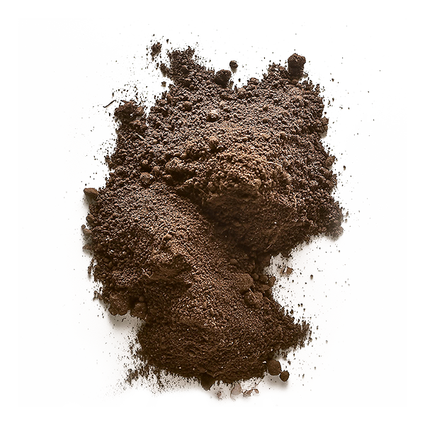 koehnemann-design-werbeagentur-muenster-galabau-expertise-deutschland